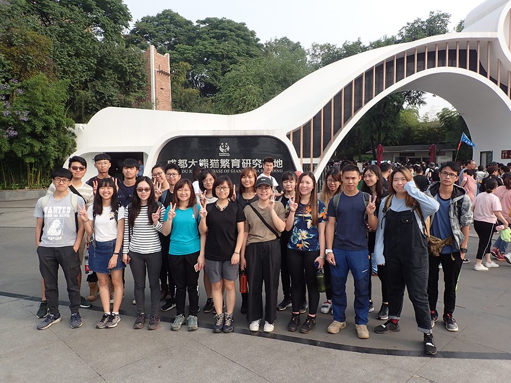 HLM students visiting Chengdu Research Base of Giant Panda Breeding.